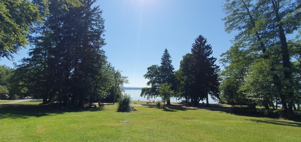 20260728_154717.jpg