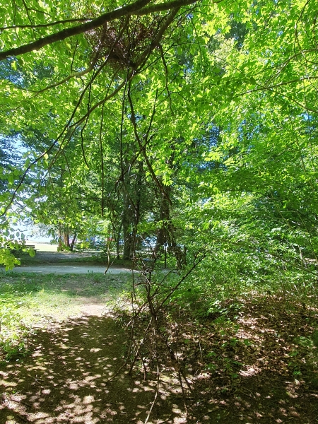20260728_150943.jpg